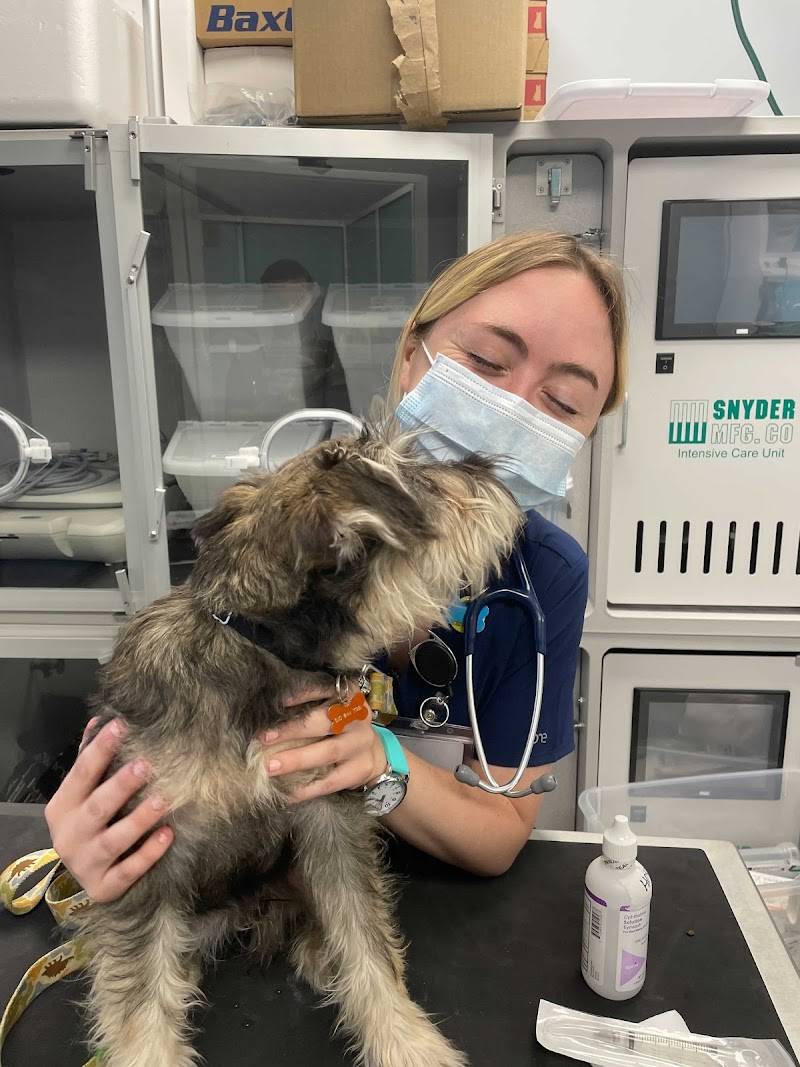 Philadelphia Animal Specialty & Emergency (PASE)