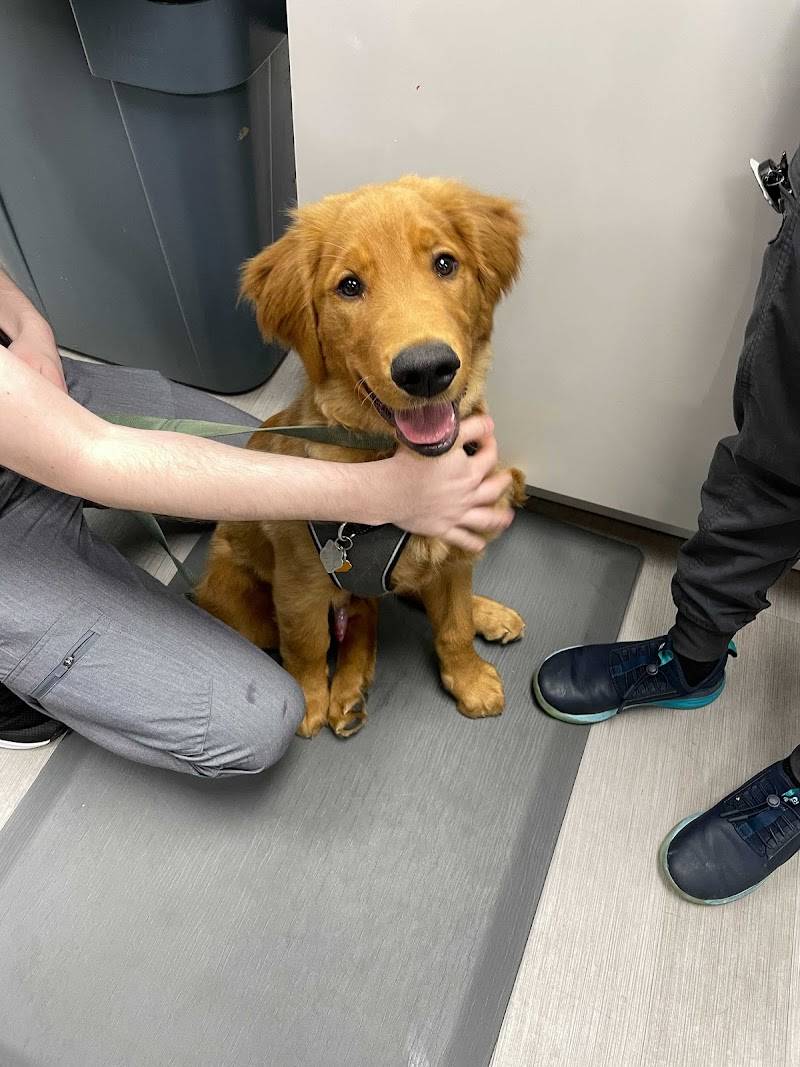 Philadelphia Animal Specialty & Emergency (PASE)