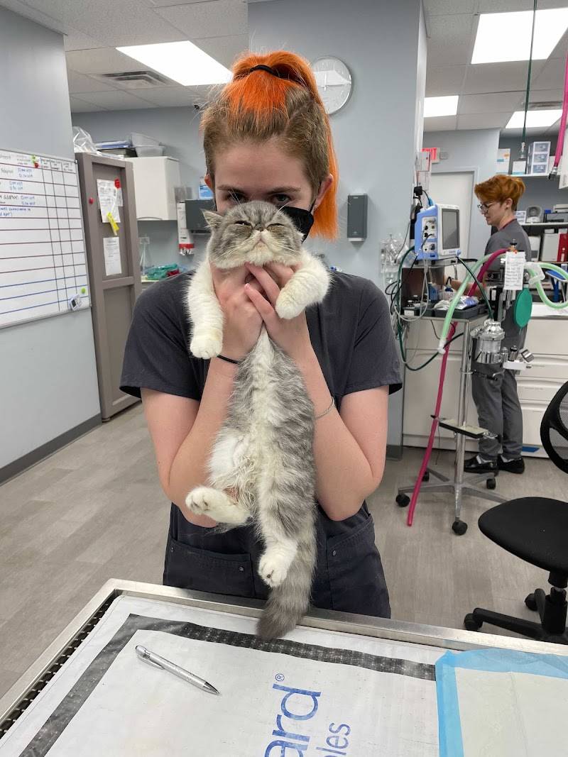 Philadelphia Animal Specialty & Emergency (PASE)