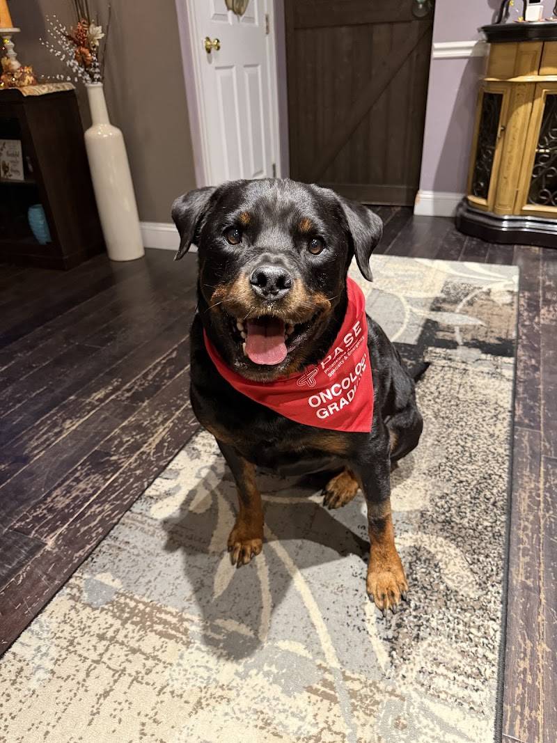 Philadelphia Animal Specialty & Emergency (PASE)